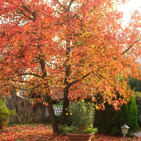 Al Tondone Bed & Breakfast Lucca